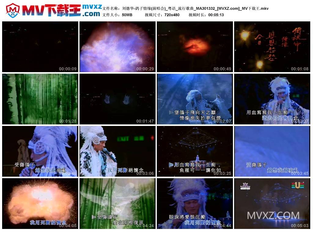刘德华-鸽子情缘(演唱会)_粤语_流行歌曲_MA301332